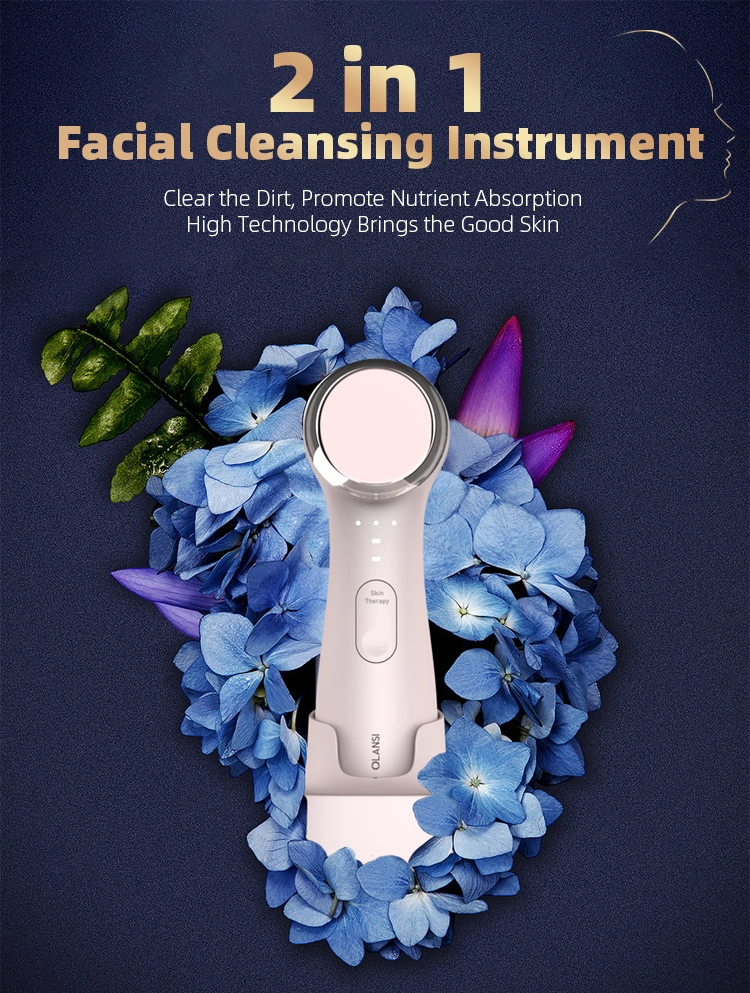 Newest Product Beauty Skin Care 2 in 1 Small Face Deep Cleansing Machine RF Devices