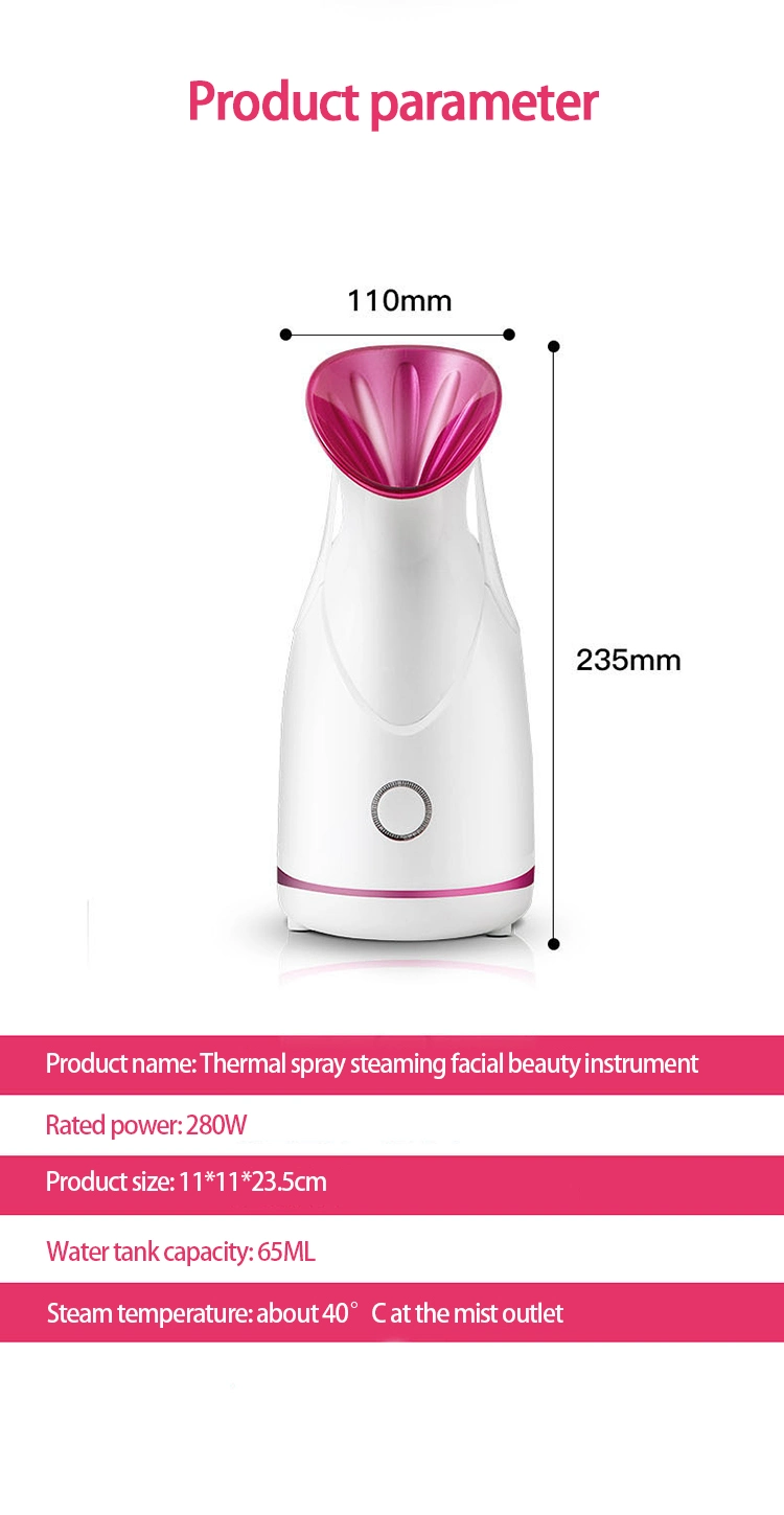 2021 Nano Ion Face Evaporator Home Beauty Tools Face Steamer Sprayer Popular Facial Steamer